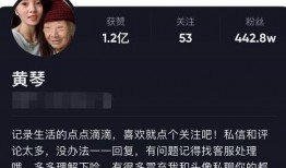 爆料黄琴的视频,揭秘娱乐圈惊人内幕